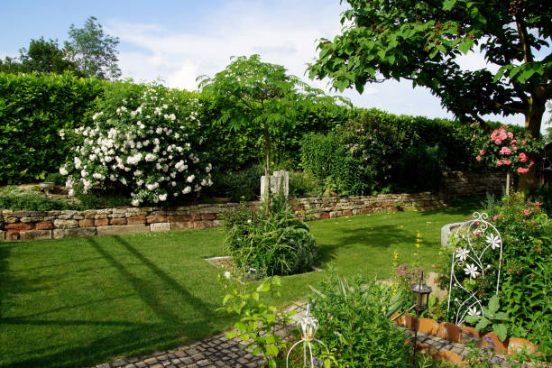 Residential Garden, private garden. Landscape design in home garden, beautiful landscaping in backyard in summer stock photo