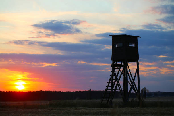 Hunting pulpit in the evening at sunset