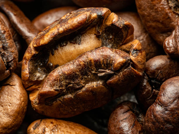 Macro - Coffee Beans