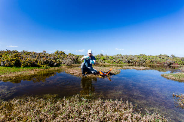 istock Scientist measuring environmental water quality parameters in a wetland. 1311642306