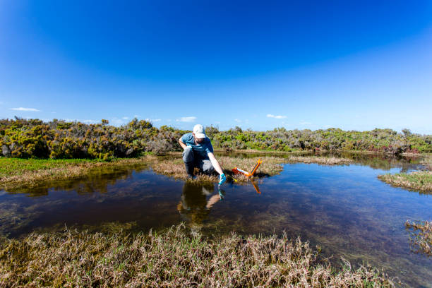 istock Scientist measuring environmental water quality parameters in a wetland. 1311642307