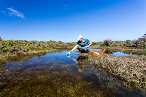 istock Scientist measuring environmental water quality parameters in a wetland. 1311642308