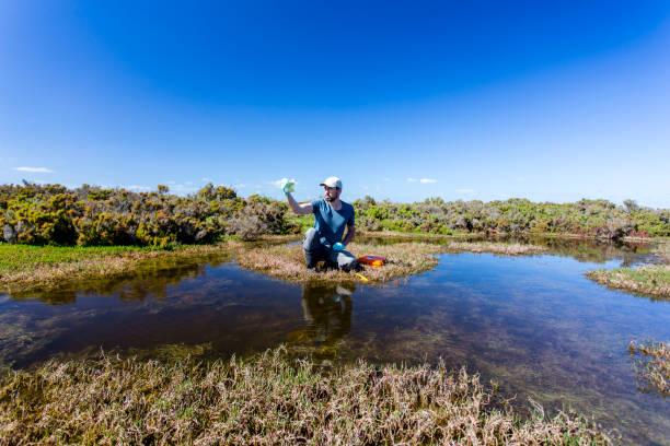 istock Scientist measuring environmental water quality parameters in a wetland. 1311642328