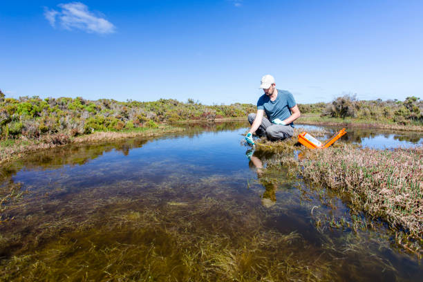 istock Scientist measuring environmental water quality parameters in a wetland. 1311642331
