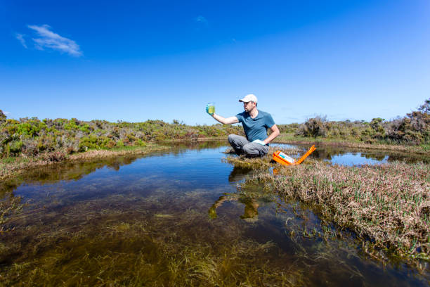 Scientist measuring environmental water quality parameters in a wetland. Scientist measuring environmental water quality parameters in a wetland. biologist stock pictures, royalty-free photos & images