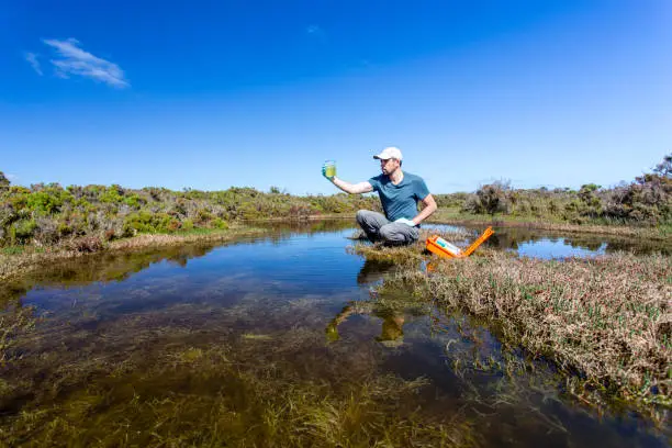 Scientist measuring environmental water quality parameters in a wetland.