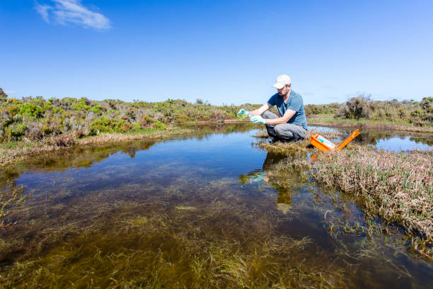 istock Scientist measuring environmental water quality parameters in a wetland. 1311642370