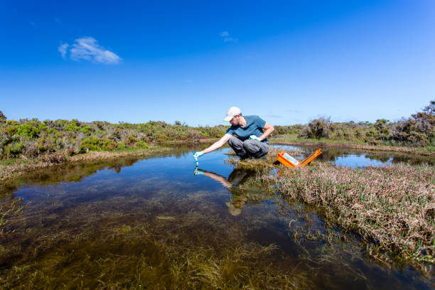 istock Scientist measuring environmental water quality parameters in a wetland. 1311642383