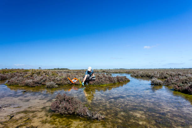 istock Scientist measuring environmental water quality parameters in a wetland. 1311642404