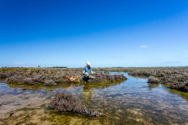 istock Scientist measuring environmental water quality parameters in a wetland. 1311642408