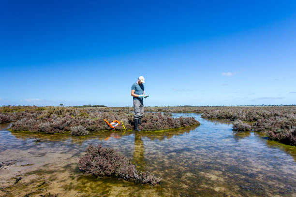 istock Scientist measuring environmental water quality parameters in a wetland. 1311642414