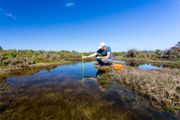 Scientist measuring environmental water quality parameters in a wetland. stock photo