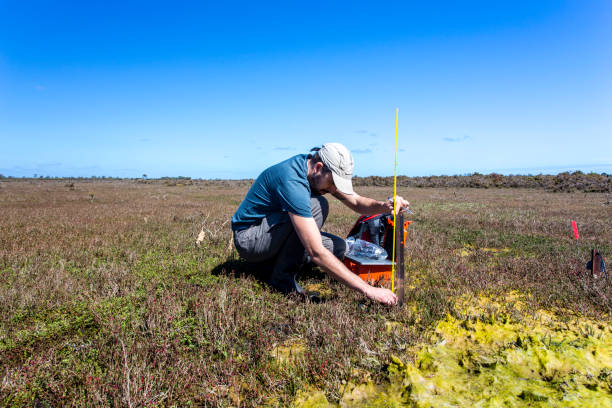 Scientist setting up a water level logger in a wetland. stock photo