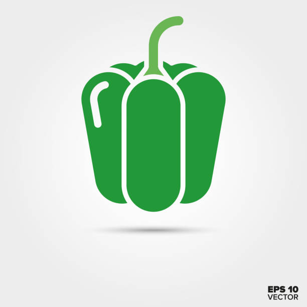 ilustrações de stock, clip art, desenhos animados e ícones de green bell pepper vegetable vector icon - pimento