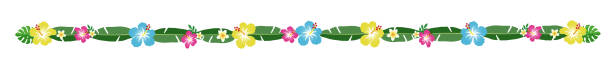 istock Tropical foliage and flower decorations, lines, dividers, No gaps 1311643650