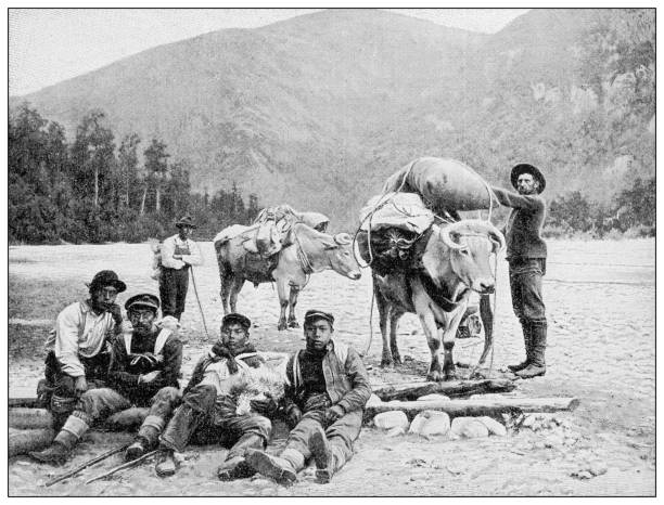 ilustrações, clipart, desenhos animados e ícones de foto antiga em preto e branco: klondike gold rush - klondike river