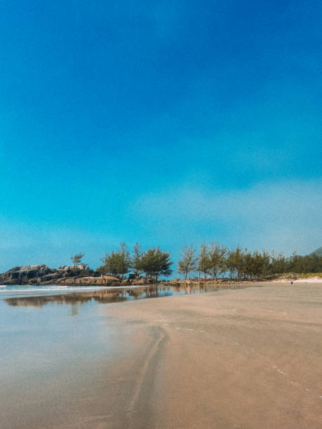 istock Garopaba, Santa Catarina - 2021 1311645013