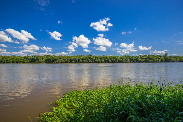 istock Rio. Nature and environment. Brazil 1311647053