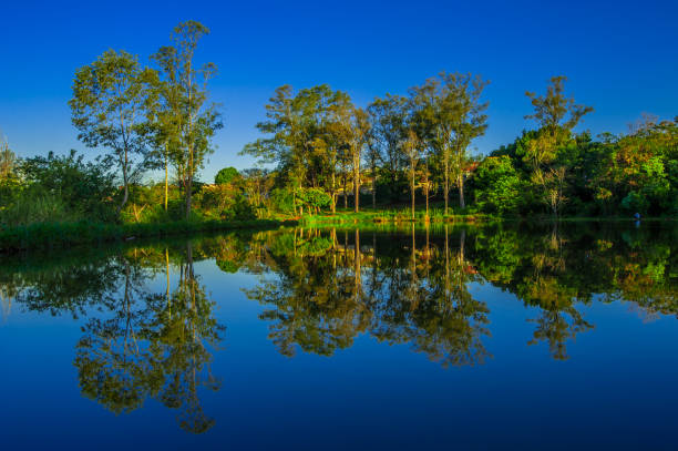 istock Rio. Nature and environment. Brazil 1311647686