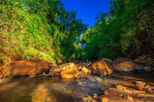 istock Rio. Nature and environment. Brazil 1311648260