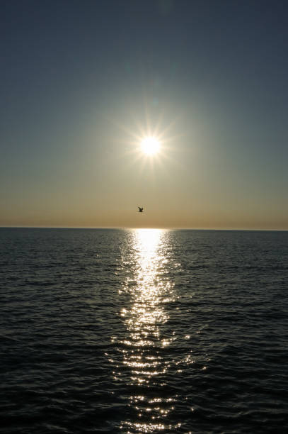 istock Sunrise at the beach 1311648373