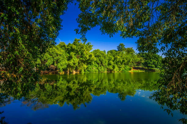 istock Rio. Nature and environment. Brazil 1311648443