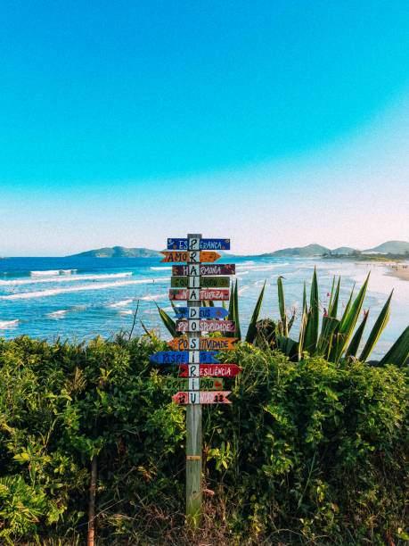 istock Garopaba, Santa Catarina - 2021 1311649997