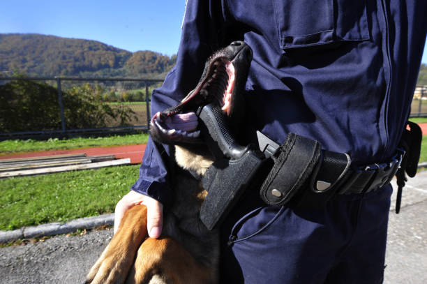 istock a trained police dog or K-9 unit 1311651260