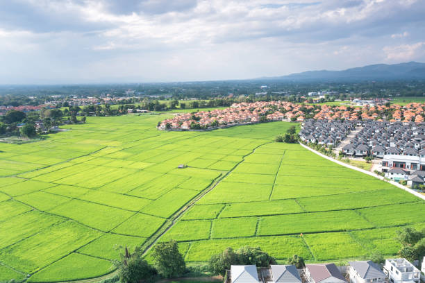 istock Land plot and green field in aerial view. 1311651572