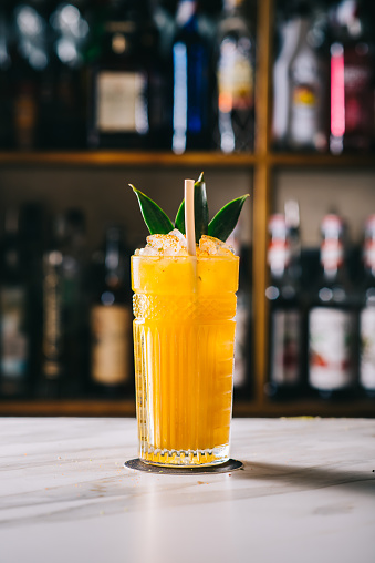 Rosemary Cocktail - Golden Rum, Rosemary, Fruits Juice and Syrup