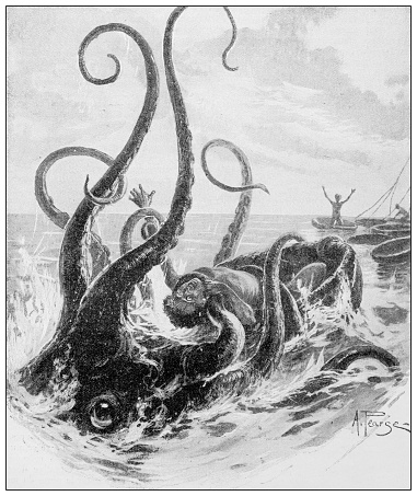 Antique illustration: Octopus attack