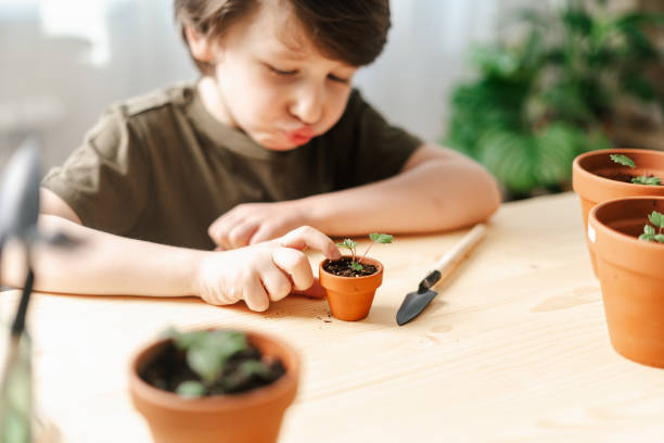 istock Kid gardeners potted plant 1311656579