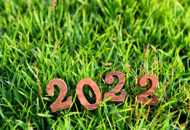 istock Wooden number 2022 on green grass background 1311656709