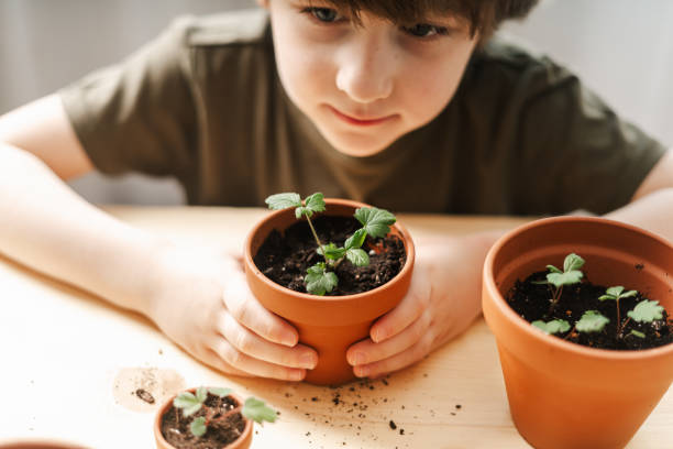 istock Kid gardeners potted plant 1311657068