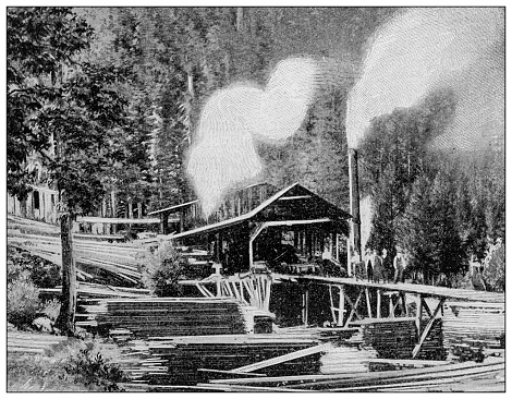 Antique black and white photograph: Klondike gold rush, sawmill in Dawson