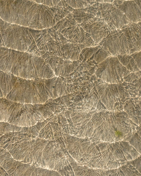 istock Crystal clear sea water sandy beach 1311658769