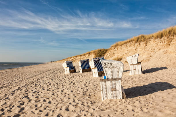 istock Beach at Hornum, Sylt, Germany 1311659838
