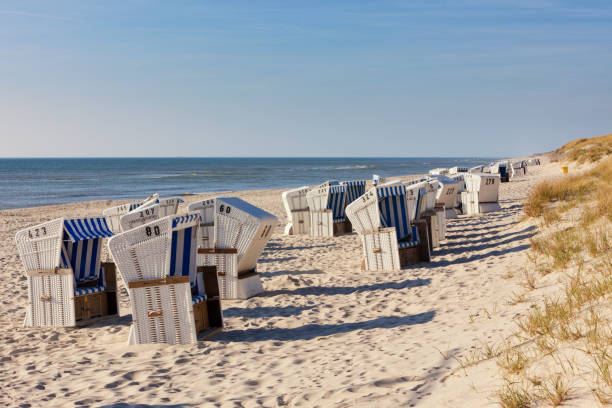 istock Beach at Hornum, Sylt, Germany 1311659963