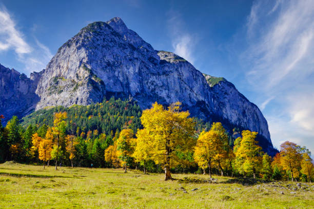 istock Grosser Ahornboden, Tyrol, Austria 1311660070