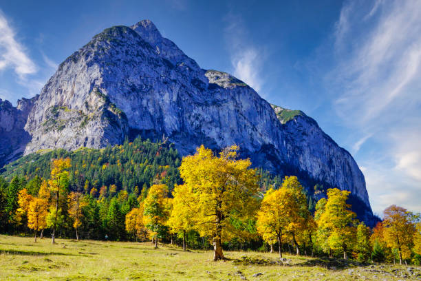 istock Grosser Ahornboden, Tyrol, Austria 1311660127