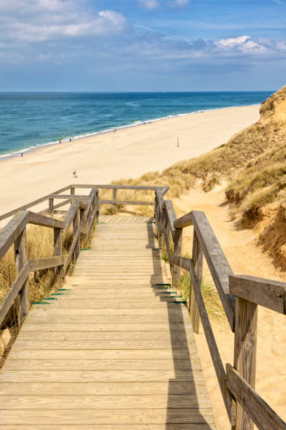 istock Stairway to the beach at kampen, Sylt 1311660584