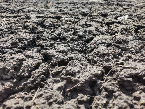 istock Cracks in chernozem soil after drought 1311661190