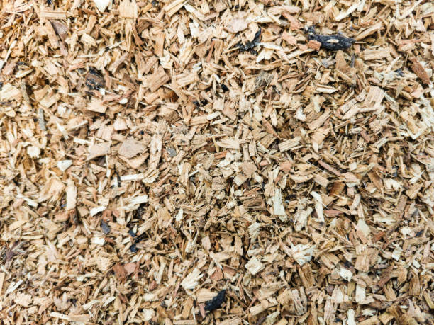 istock Variegated sawdust close-up in soft light 1311661583