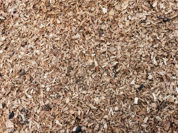 istock Variegated sawdust close-up in soft light 1311661601