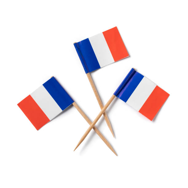 istock Miniature French flag cocktail sticks on white background 1311661617
