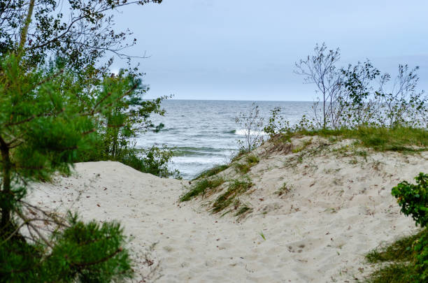 istock sandy beach in Krynica Morska 1311661732