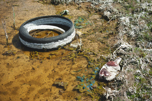 istock A thrown away tire in a puddle. A puddle polluted with chemicals and garbage. 1311661772
