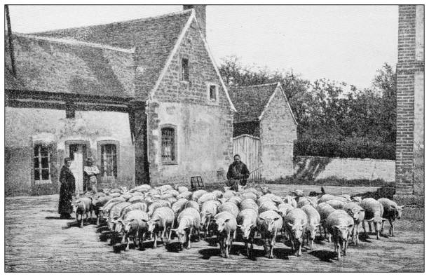 Antique black and white photograph: Trappists monks