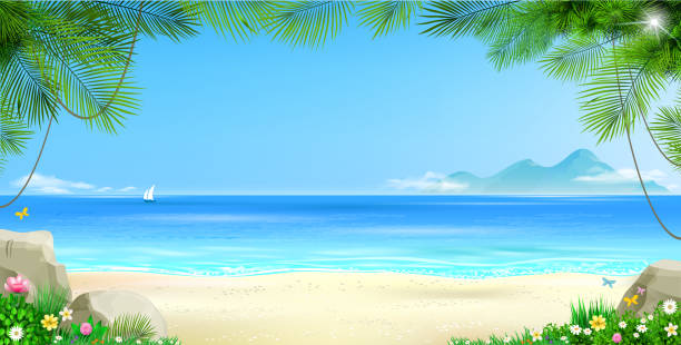 ilustrações de stock, clip art, desenhos animados e ícones de wide tropical beach banner background and palm - cruise travel beach bay