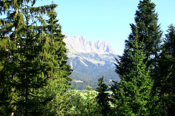 istock Summer at the Wilder Kaiser in Tyrol 1311676212